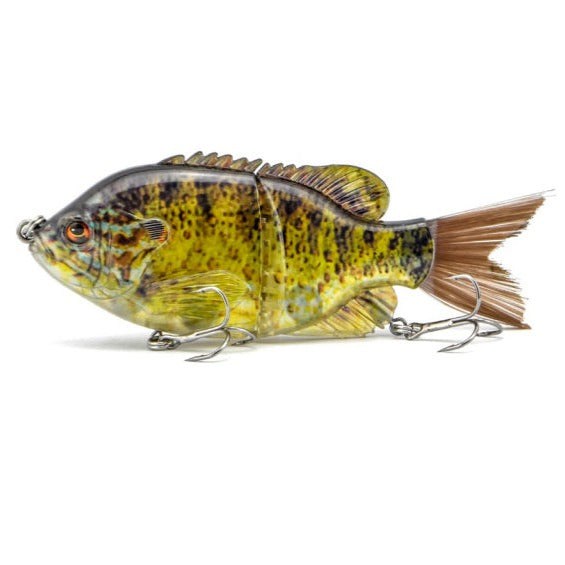 5.5" Sunfish