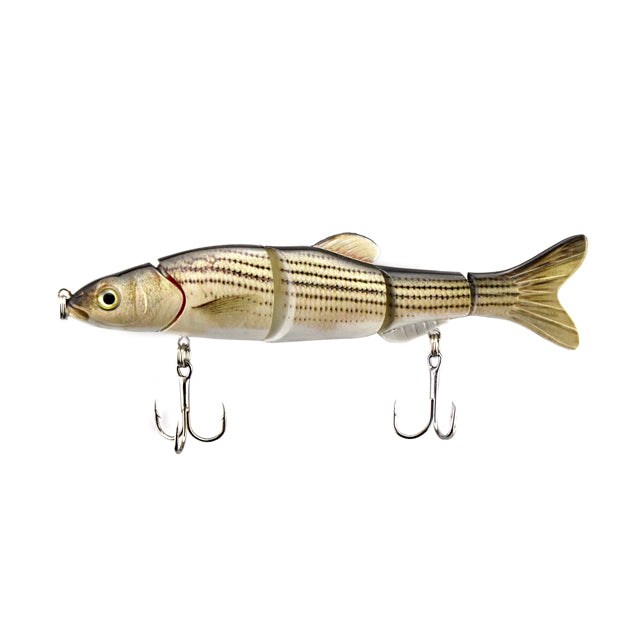 6.5" Jointed Dace