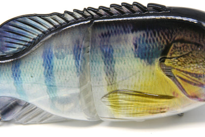 5.5" Sunfish