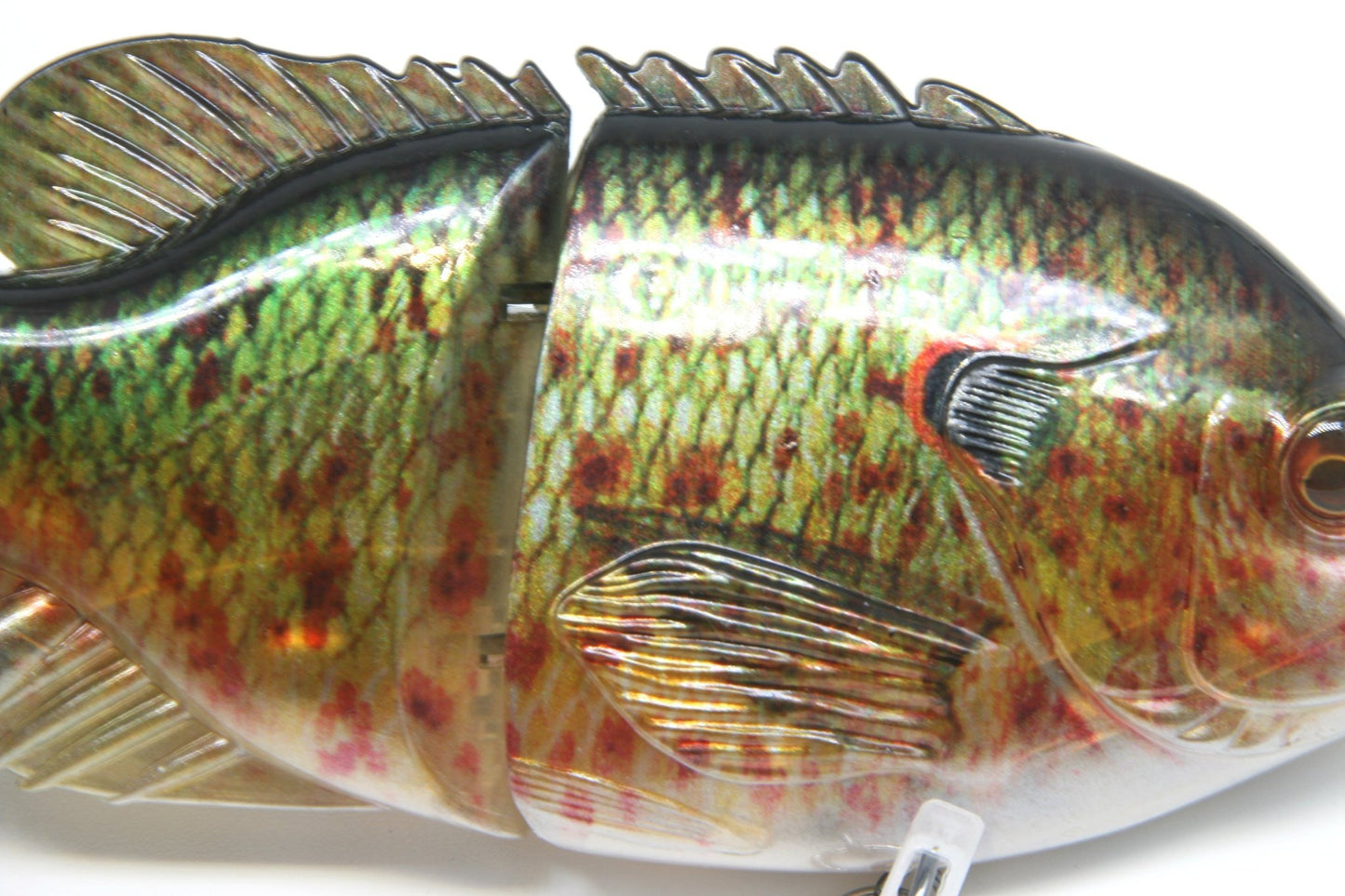5.5" Sunfish