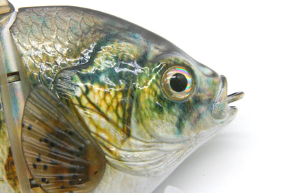 5" Panfish Replica
