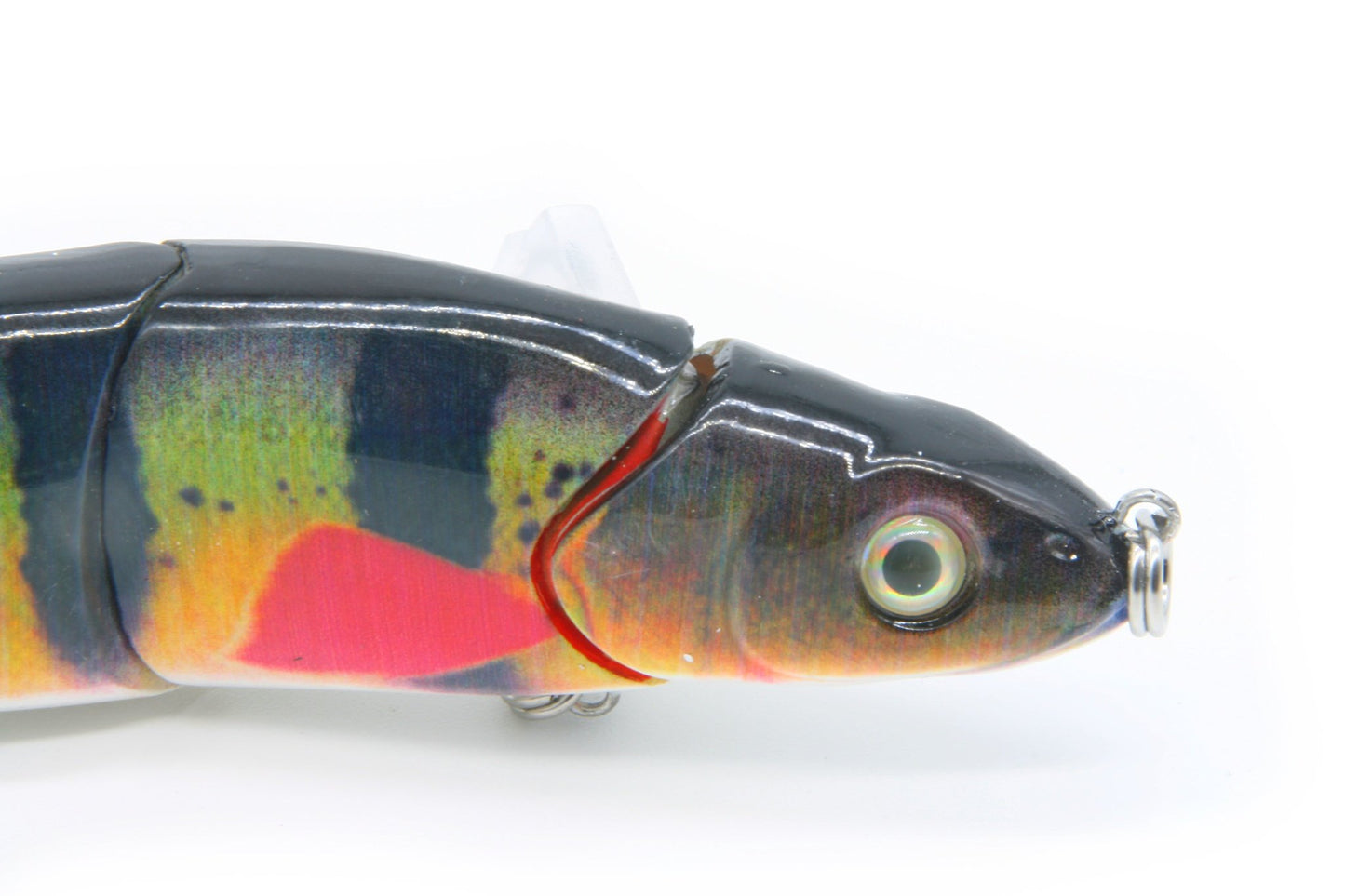 6.5" Jointed Dace