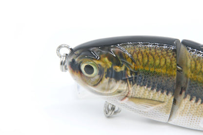 5.5" Slow-Sinking Gizzard Shad - Jointed