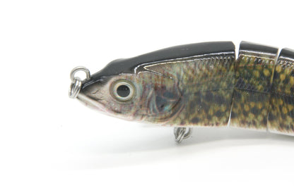 5.75" Jointed 8-Section Eel